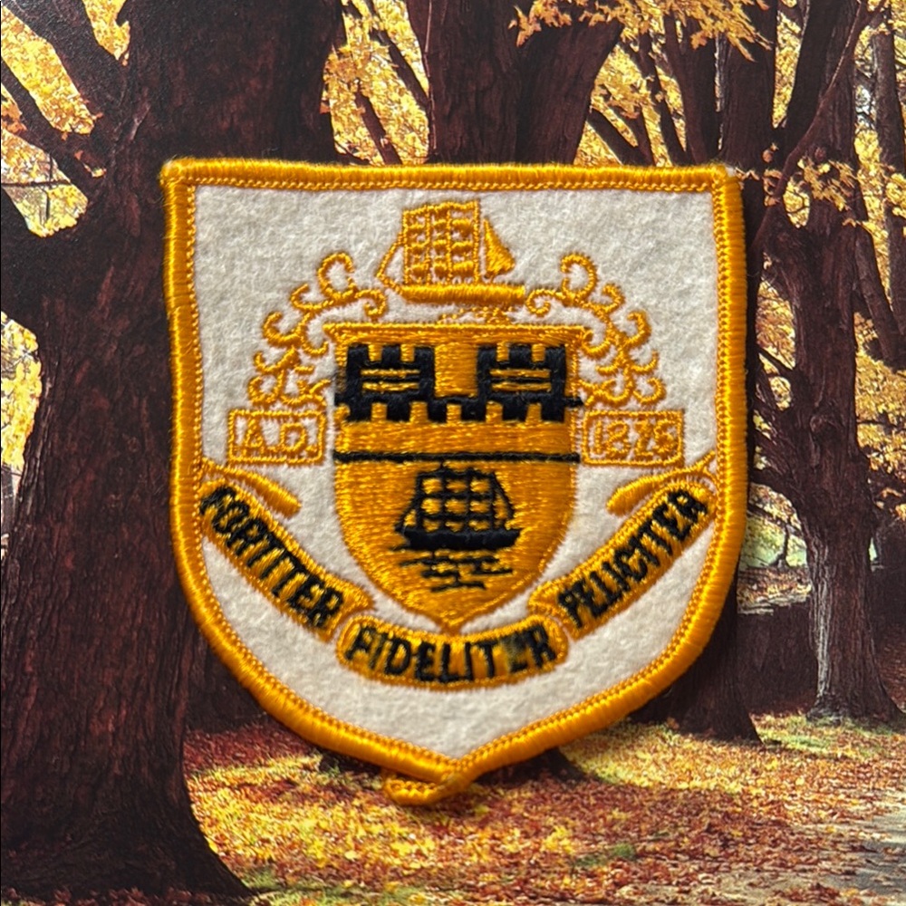Vintage White and Gold Embroidered Patch